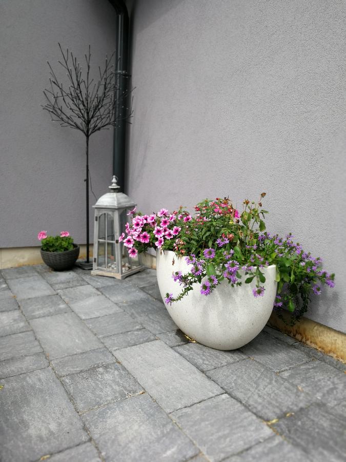 Zsinko Villa Πετς Εξωτερικό φωτογραφία